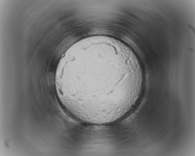 X0000102770849200809081003