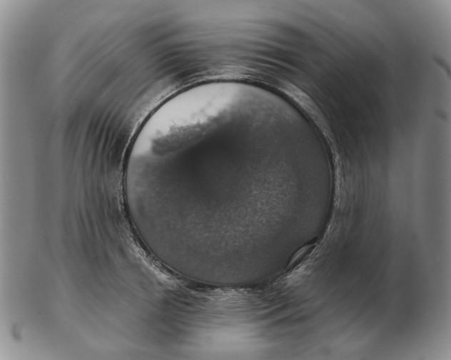 X0000102770850200809081003