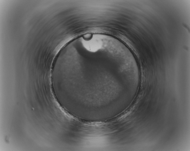 X0000102770853200809081003