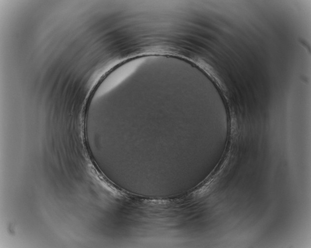 X0000102770854200809081003