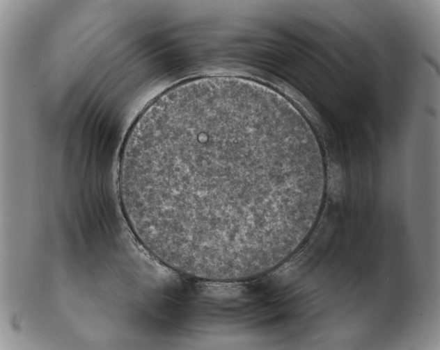 X0000102770856200809081003