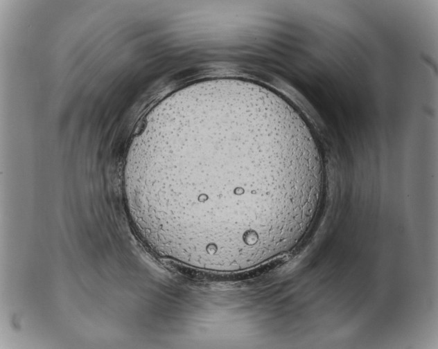 X0000102770857200809081003