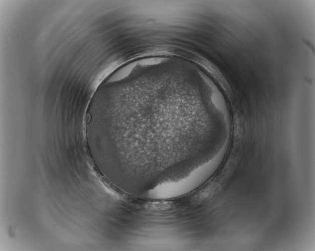 X0000102770858200809081003