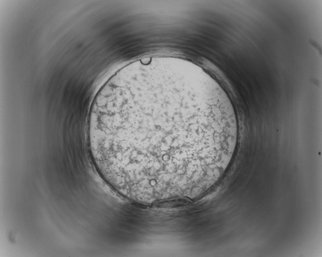 X0000102770860200809081003