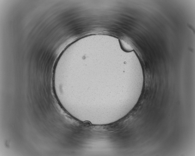 X0000102770861200809081003