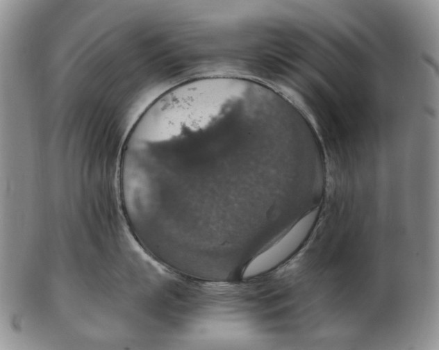 X0000102770863200809081003