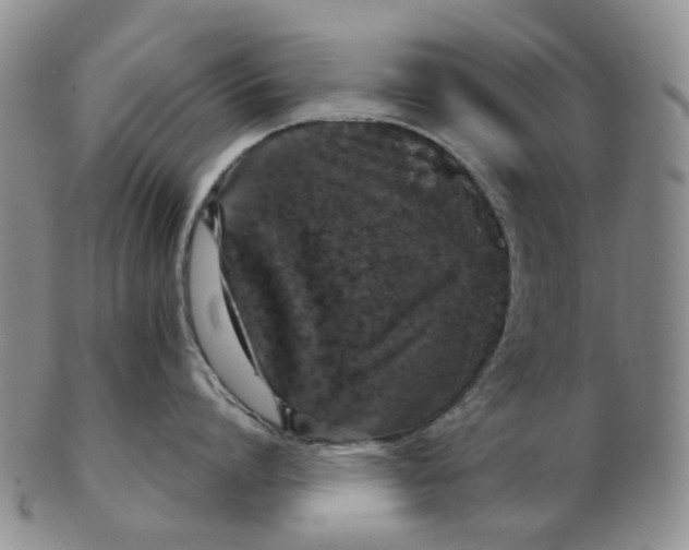 X0000102770864200809081003