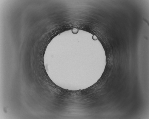 X0000102770865200809081002