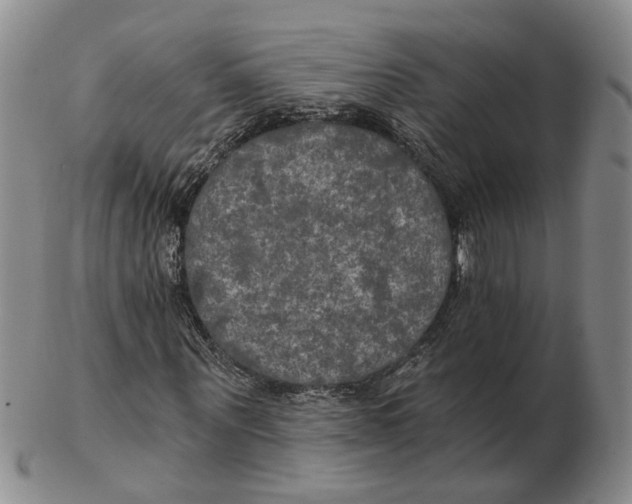 X0000102770867200809081002