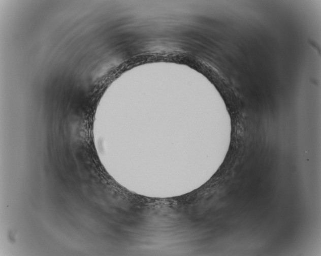 X0000102770869200809081002