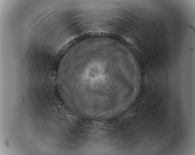 X0000102770870200809081002