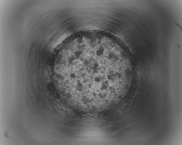 X0000102770871200809081002