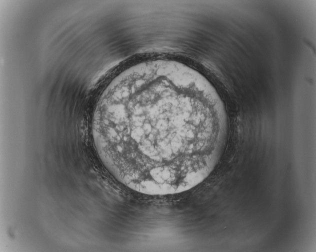 X0000102770872200809081002