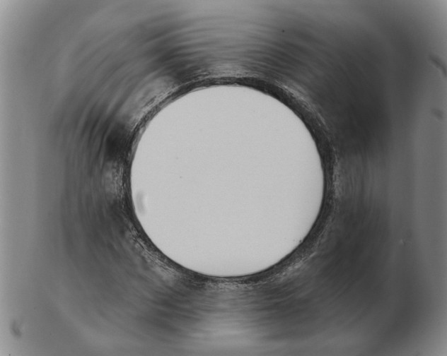 X0000102770873200809081002