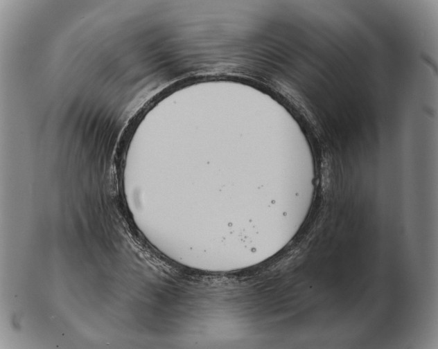 X0000102770876200809081002