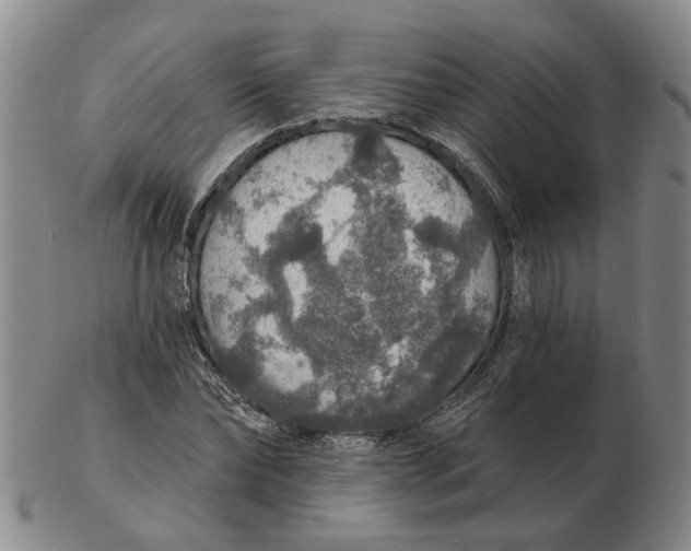 X0000102770878200809081002