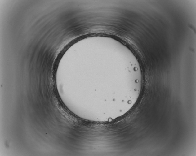 X0000102770880200809081002