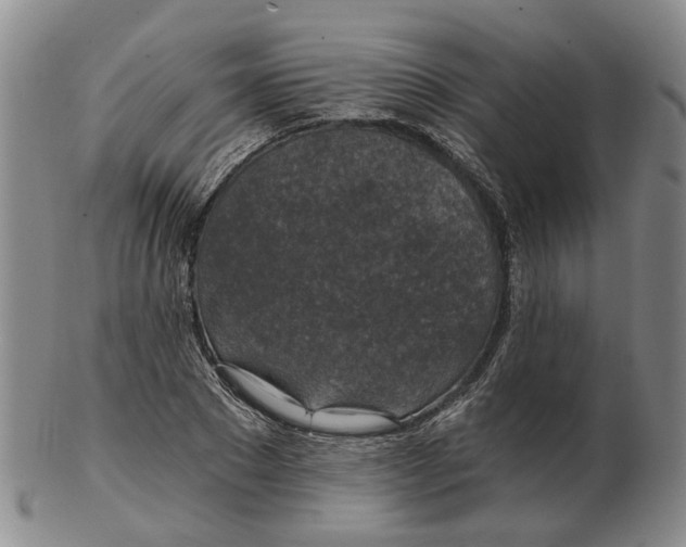 X0000102770881200809081002