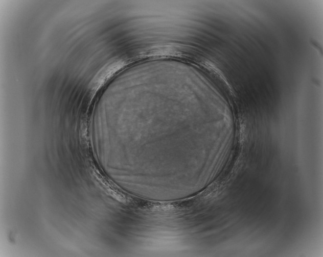 X0000102770882200809081002