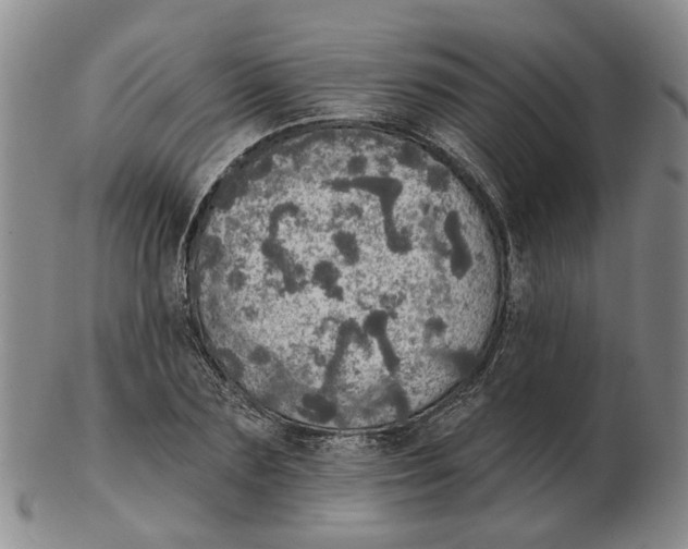 X0000102770883200809081002