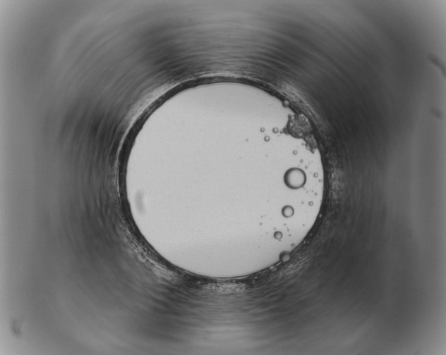 X0000102770884200809081002