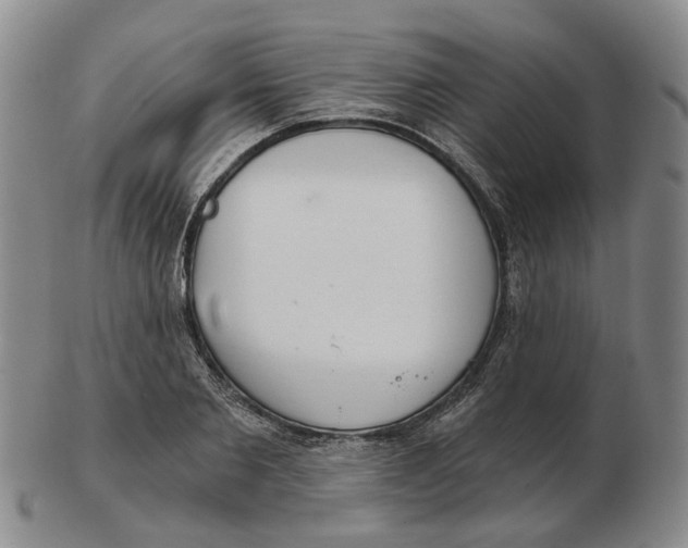 X0000102770885200809081002