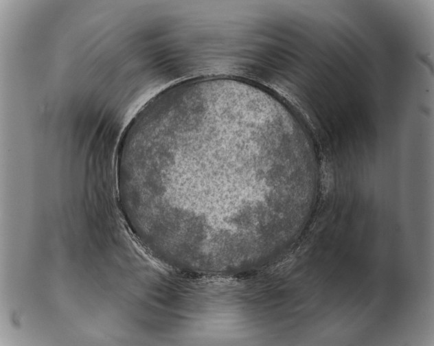 X0000102770886200809081002