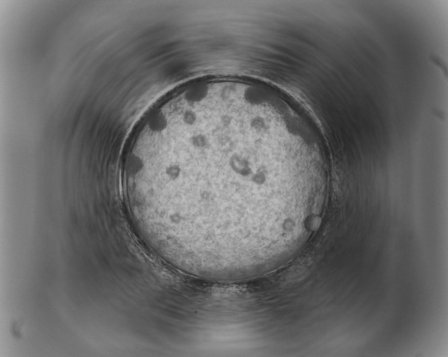 X0000102770887200809081002