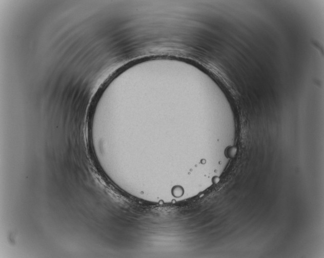 X0000102770888200809081002