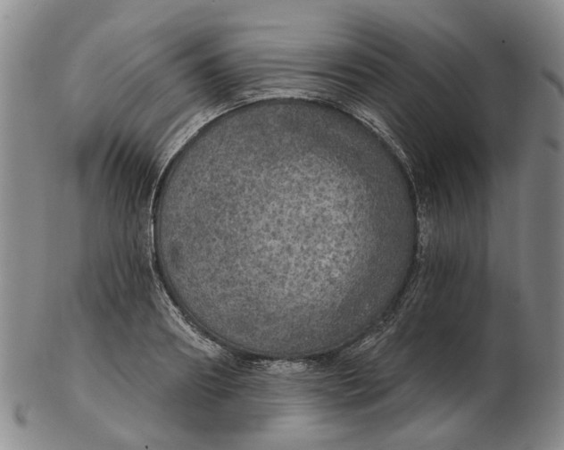 X0000102770890200809081002