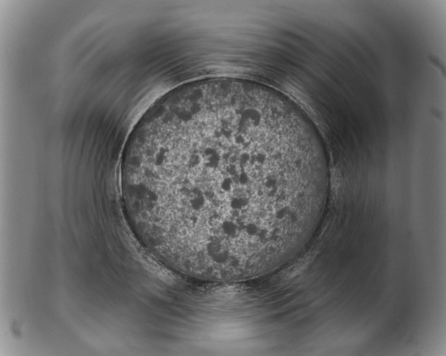 X0000102770891200809081002