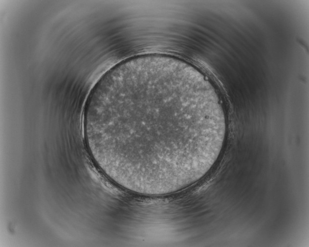 X0000102770892200809081002