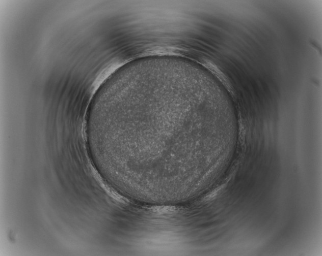 X0000102770893200809081002