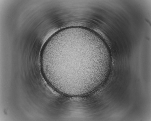 X0000102770894200809081002