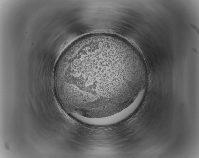 X0000102770895200809081002