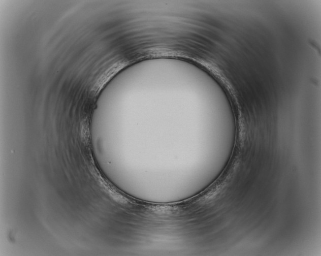 X0000102770897200809081002