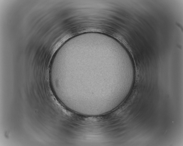 X0000102770898200809081002