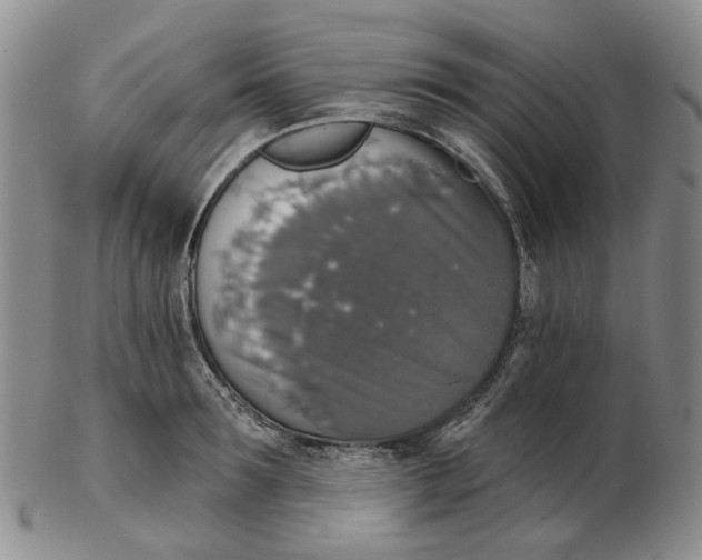 X0000102770899200809081002