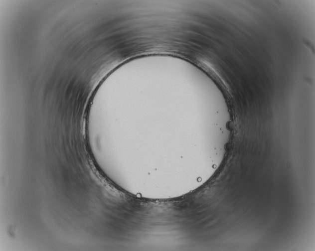 X0000102770900200809081002