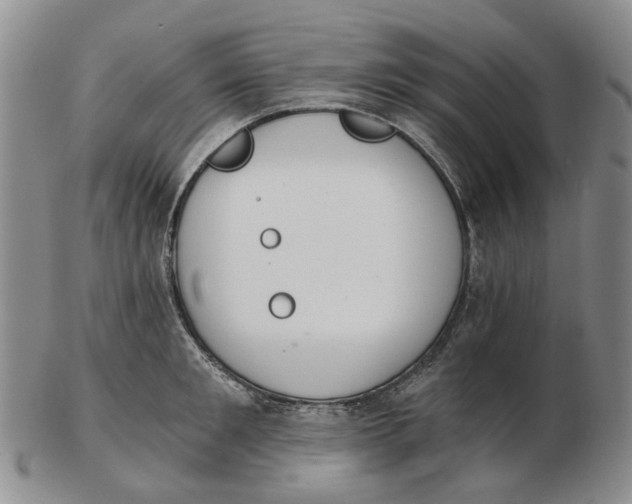 X0000102770901200809081002