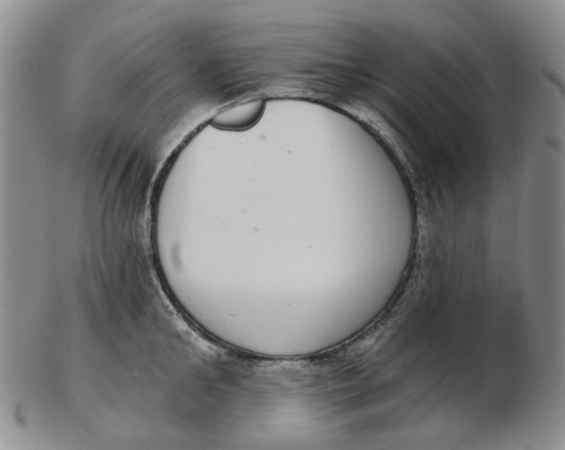 X0000102770902200809081002