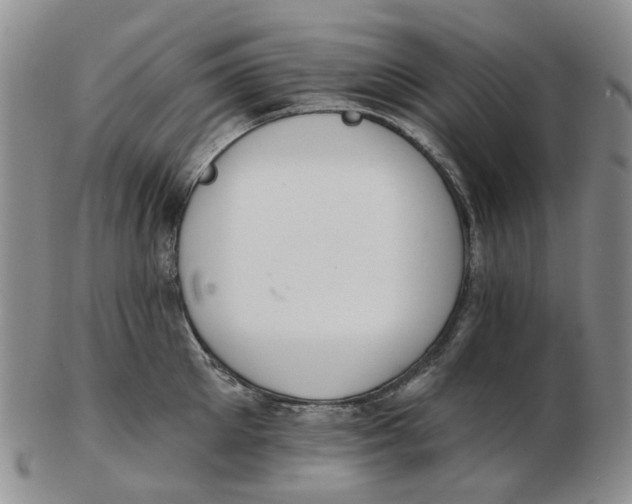 X0000102770905200809081002