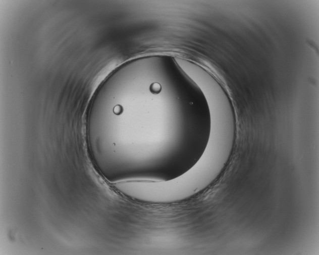 X0000102770907200809081002