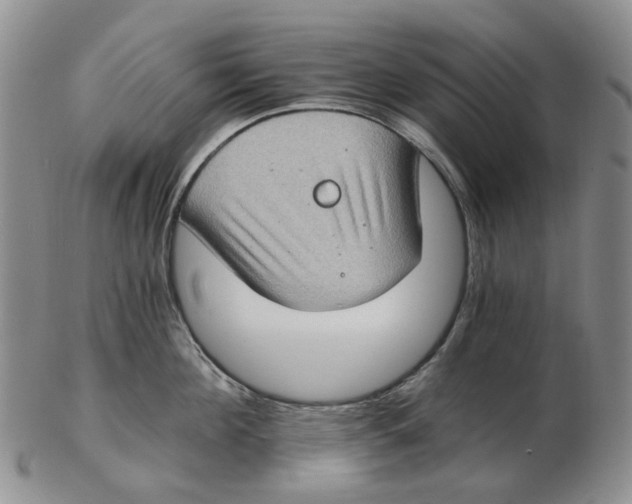 X0000102770908200809081002