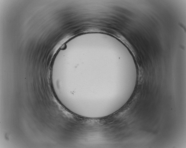 X0000102770909200809081002