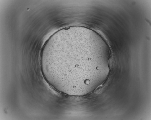 X0000102770910200809081002