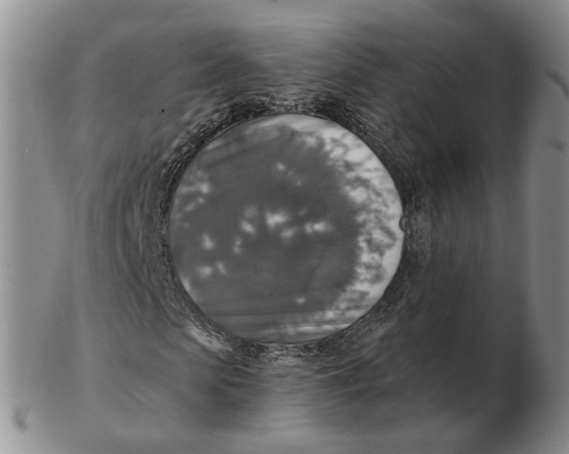 X0000102770913200809081001