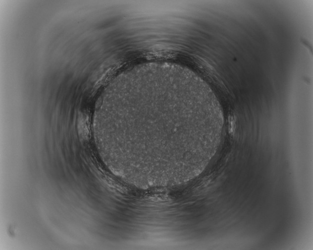 X0000102770915200809081001