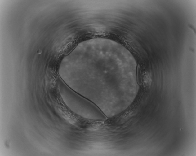 X0000102770916200809081001