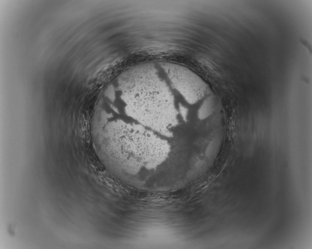 X0000102770917200809081001